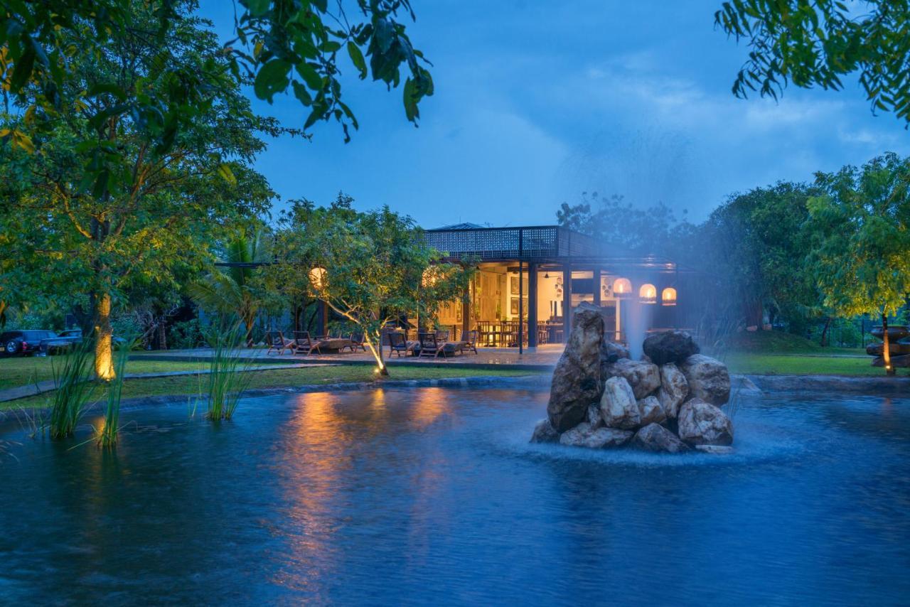 Wild Culture Yala Hotell Exteriör bild