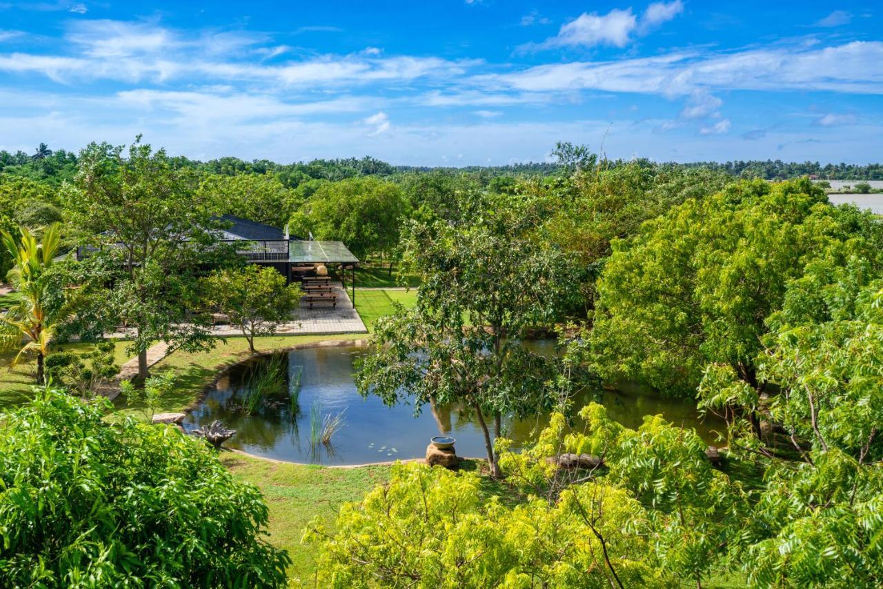 Wild Culture Yala Hotell Exteriör bild